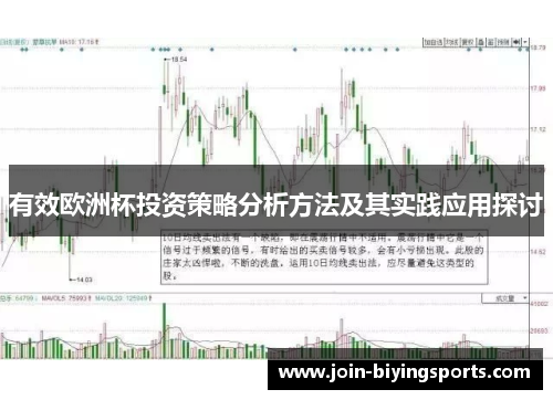 有效欧洲杯投资策略分析方法及其实践应用探讨