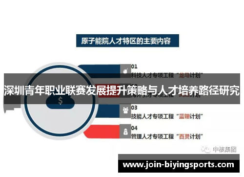 深圳青年职业联赛发展提升策略与人才培养路径研究